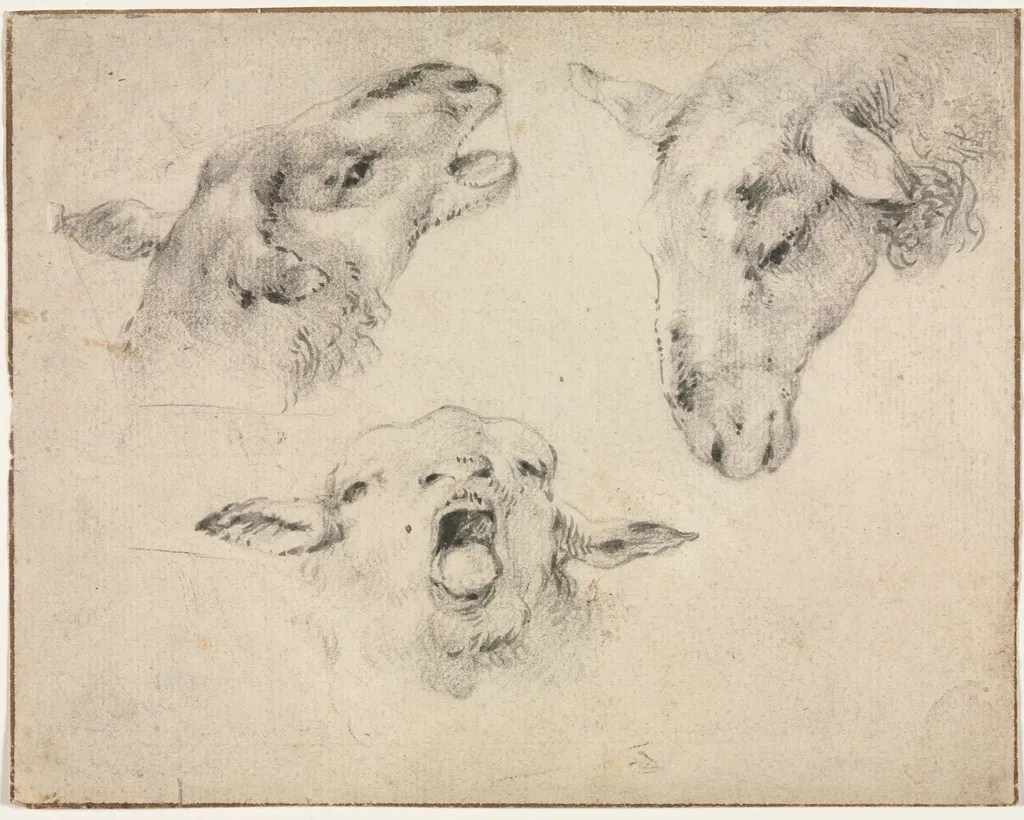 Sheep Heads, by Wouterus Verschuur, 1804