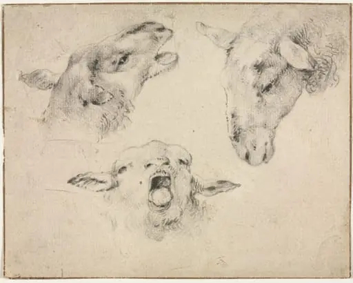 Sheep Heads, by Wouterus Verschuur