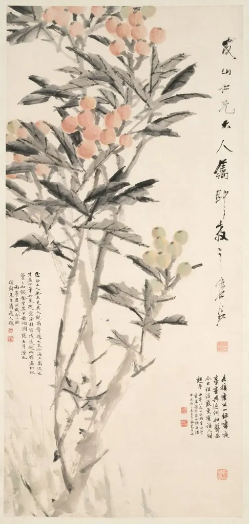 Pipa (Loquats), by Xugu