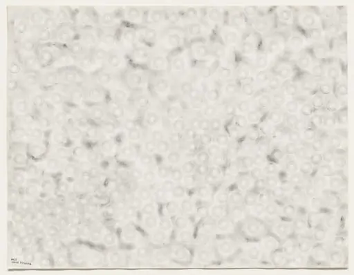 Untitled, by Yayoi Kusama