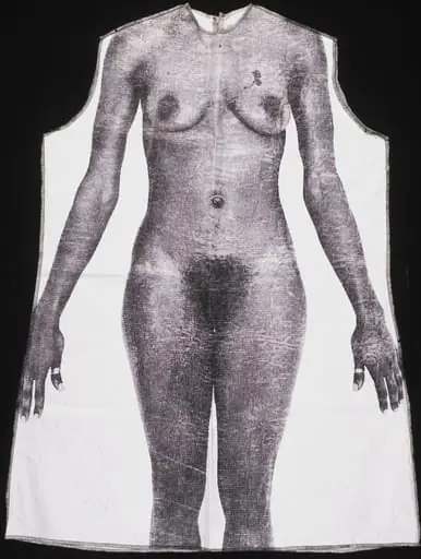 Untitled (gown made for <i>Masquerade</i>), by Yin Lam