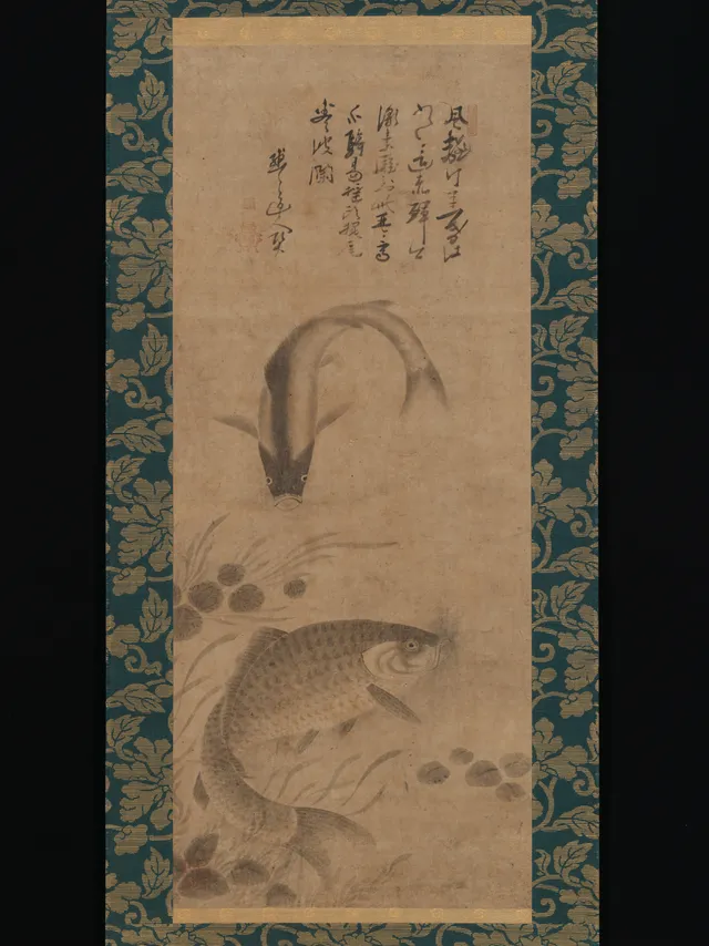 Carp and Waterweeds