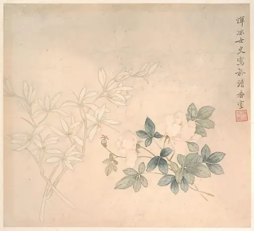 清 惲冰 花卉圖 册页|Flower Study, by Yun Bing
