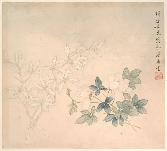 清  惲冰   花卉圖   册页|Flower Study