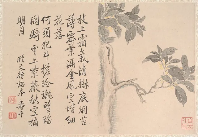 清　仿惲壽平　桂花圖　冊頁|Cassia Tree