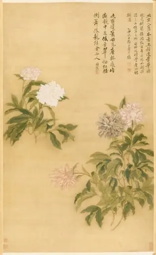 Herbaceous Peony, by Yun Shouping