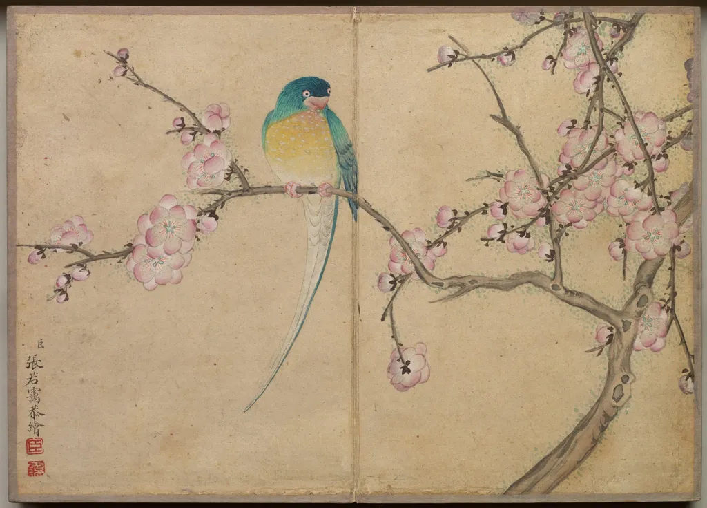 Desk Album: Flower and Bird Paintings (Bird with Plum Blossoms), by Zhang Ruoai, unspecified, 1704