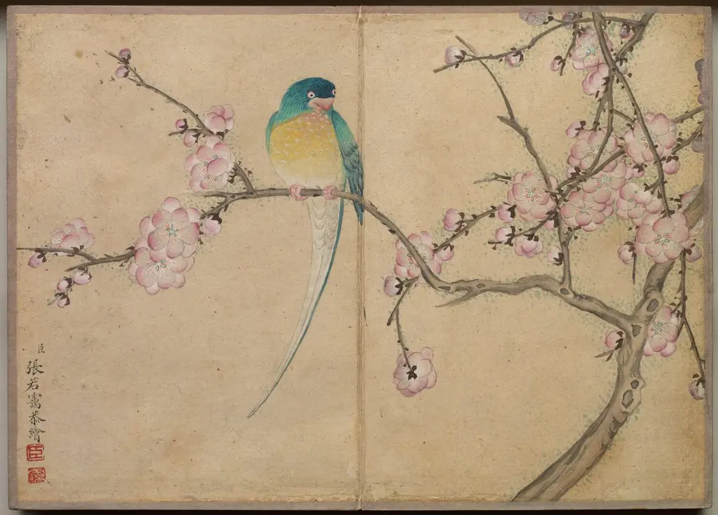 Desk Album: Flower and Bird Paintings (Bird with Plum Blossoms), by Zhang Ruoai
