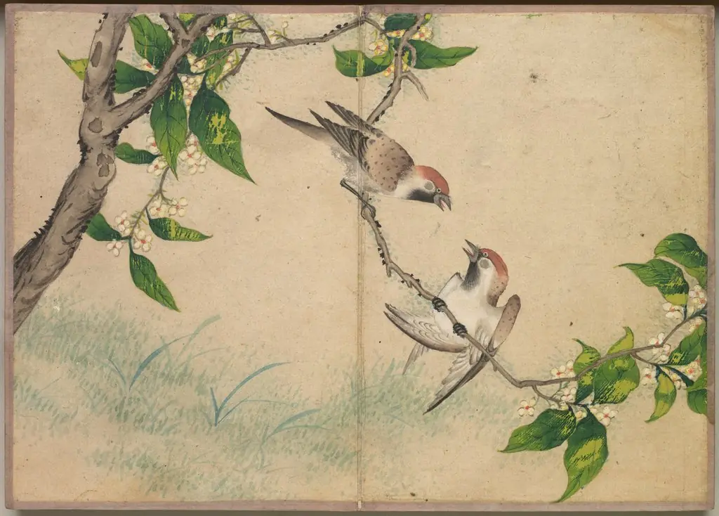 Desk Album: Flower and Bird Paintings (Gossiping Sparrows), by Zhang Ruoai