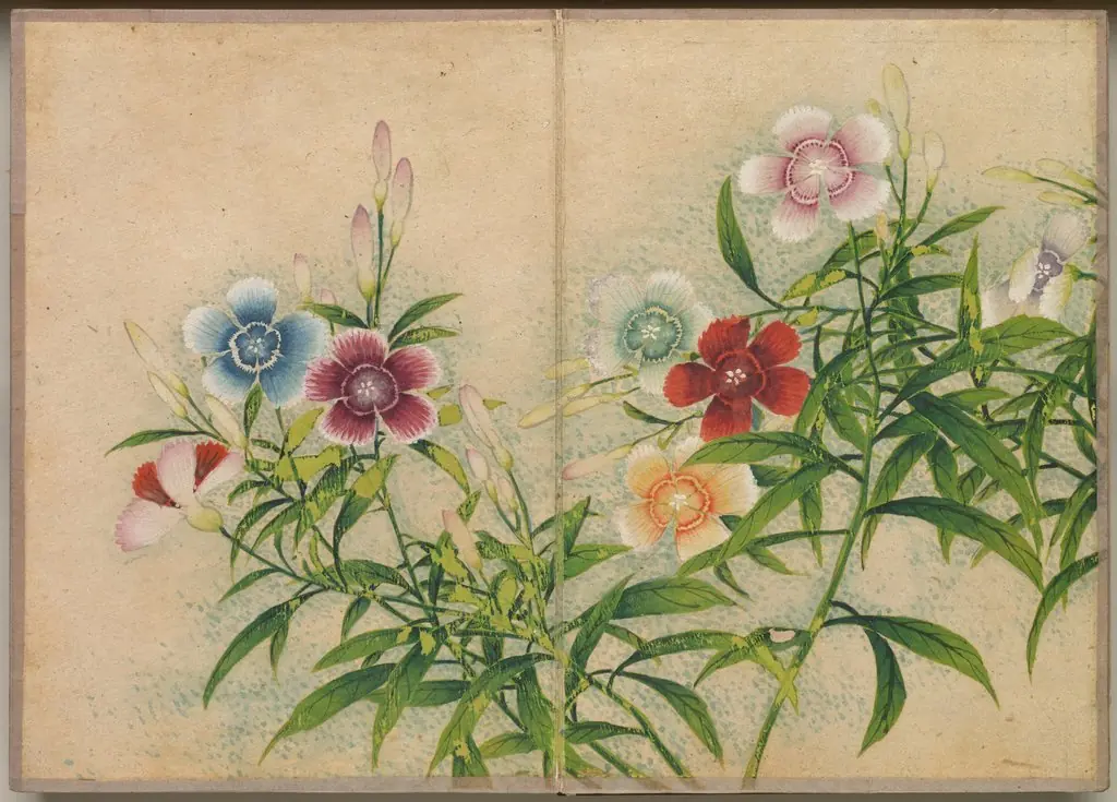 Zhang Ruoai