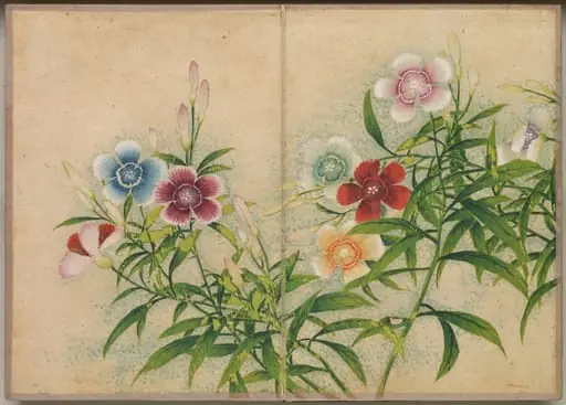 Desk Album: Flower and Bird Paintings (Pinks), by Zhang Ruoai
