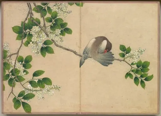 Desk Album: Flower and Bird Paintings (Preening Bird), by Zhang Ruoai