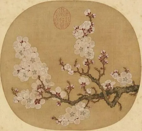 Apricot Blossoms Sketched from Life, by Zhao Chang, unspecified, 998