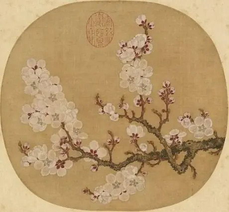 Apricot Blossoms Sketched from Life, by Zhao Chang