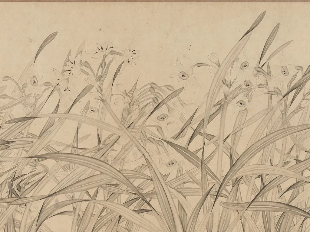 南宋 趙孟堅 水仙圖 卷|Narcissus, by Zhao Mengjian, ink, 1250