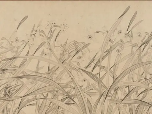 南宋 趙孟堅 水仙圖 卷|Narcissus, by Zhao Mengjian, 1250