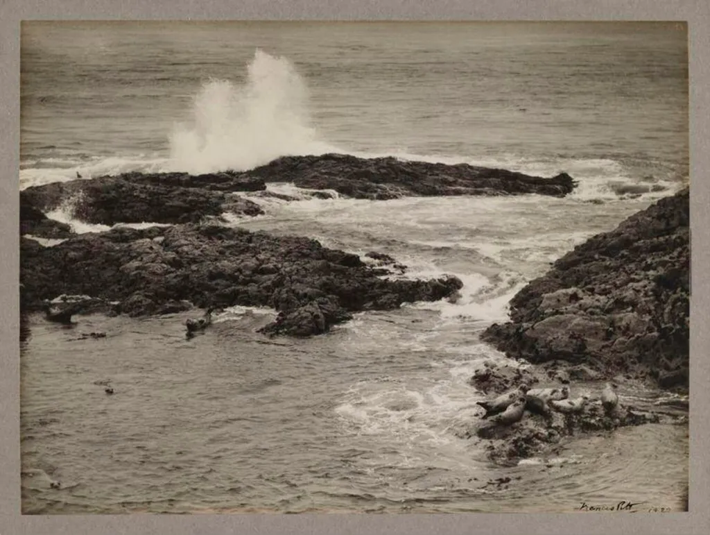 The Seal Harbour, by Zoological Photographic Club, photographic